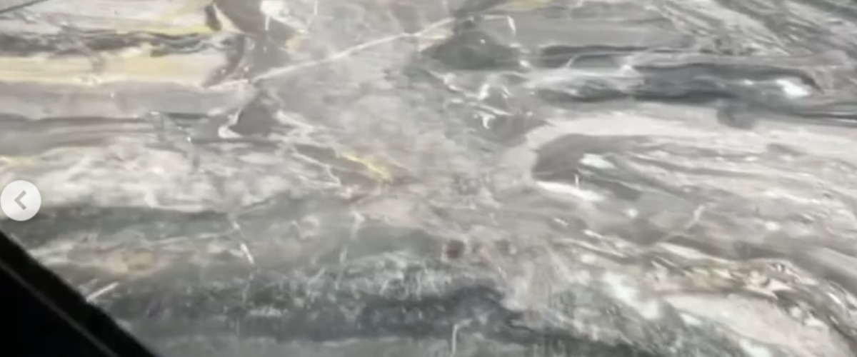 Screenshot 2026 05 06 100545 1200x500